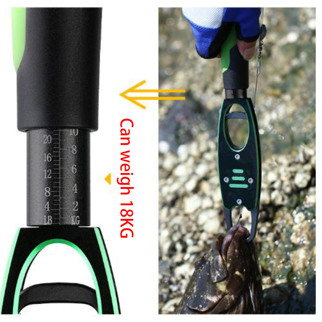 TAKEDO offre spéciale BL-040 p - Fishing Pliers avis et prix